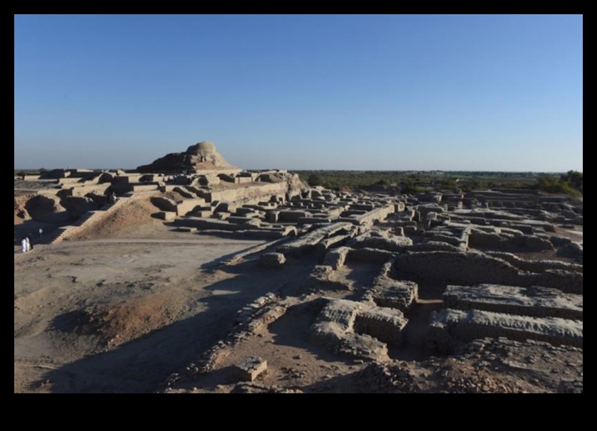 Care este impactul schimbărilor climatice asupra conservării peisajelor istorice?