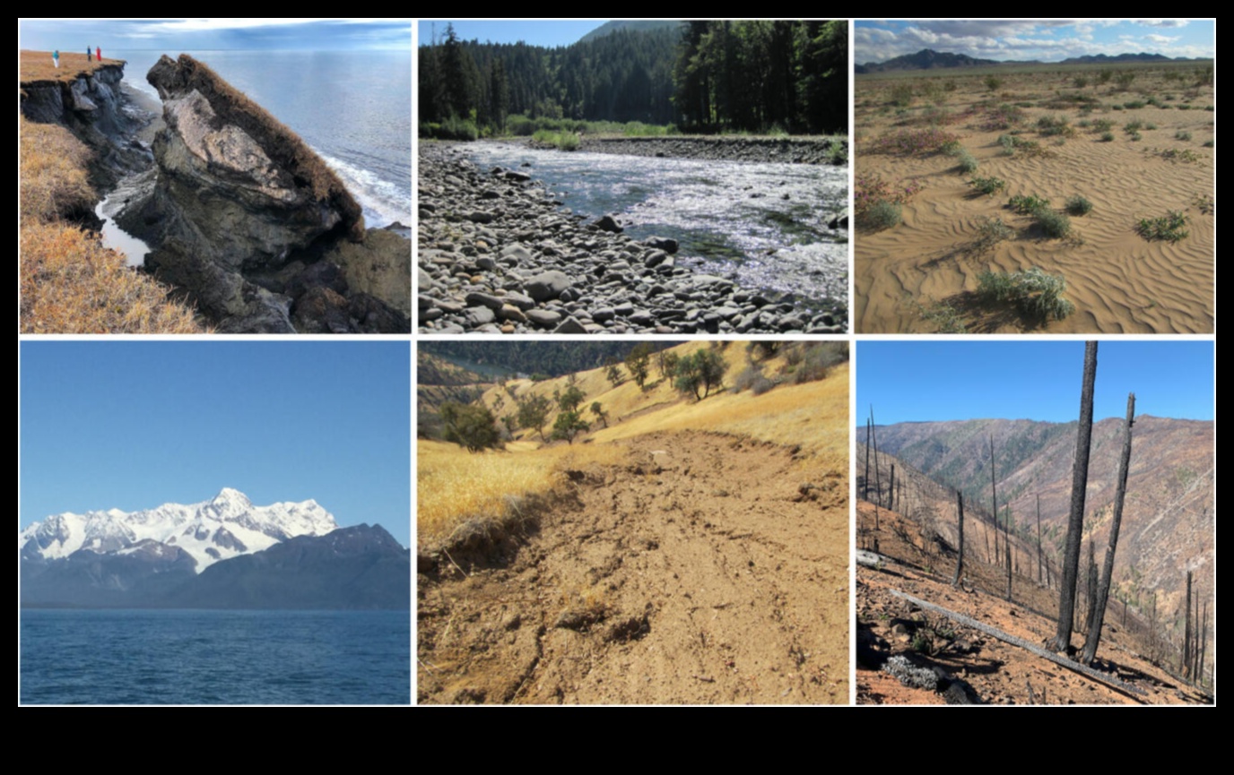 Clima și peisajele: adaptarea la o lume în schimbare