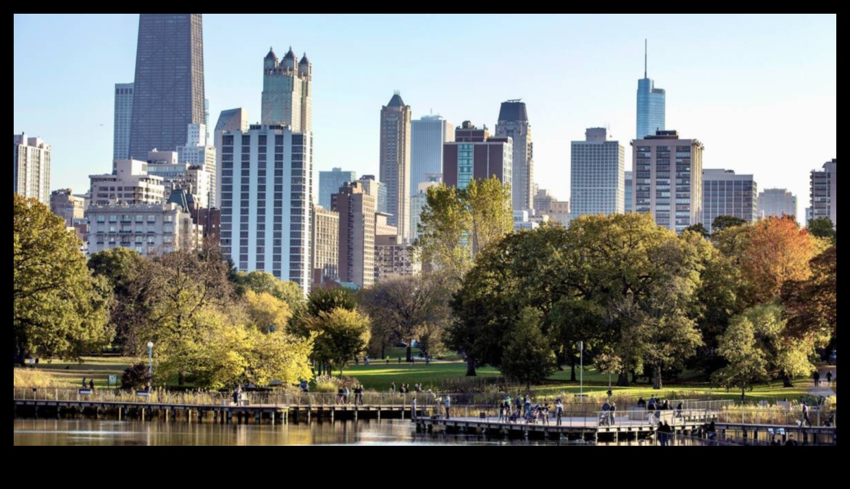 Poduri și orizonturi: peisaje urbane în tranziție