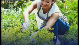 Sală de sport în grădină: exerciții în aer liber în cadru botanic înflorit