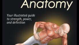 Jocuri cu gravitație: stăpânirea forței cu exerciții cu greutatea corporală