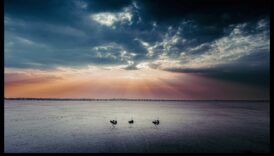 Fericire panoramică: peisaje măturatoare în fiecare cadru