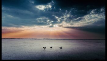 Fericire panoramică: peisaje măturatoare în fiecare cadru