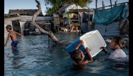 Care este impactul schimbărilor climatice asupra conservării peisajelor istorice?