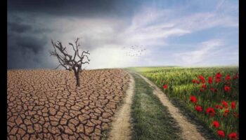 Clima și peisajele: adaptarea la o lume în schimbare