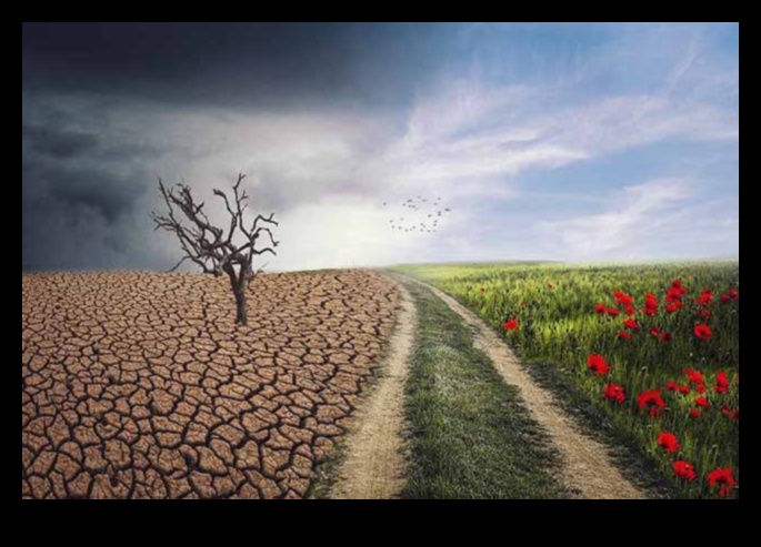 Clima și peisajele: adaptarea la o lume în schimbare