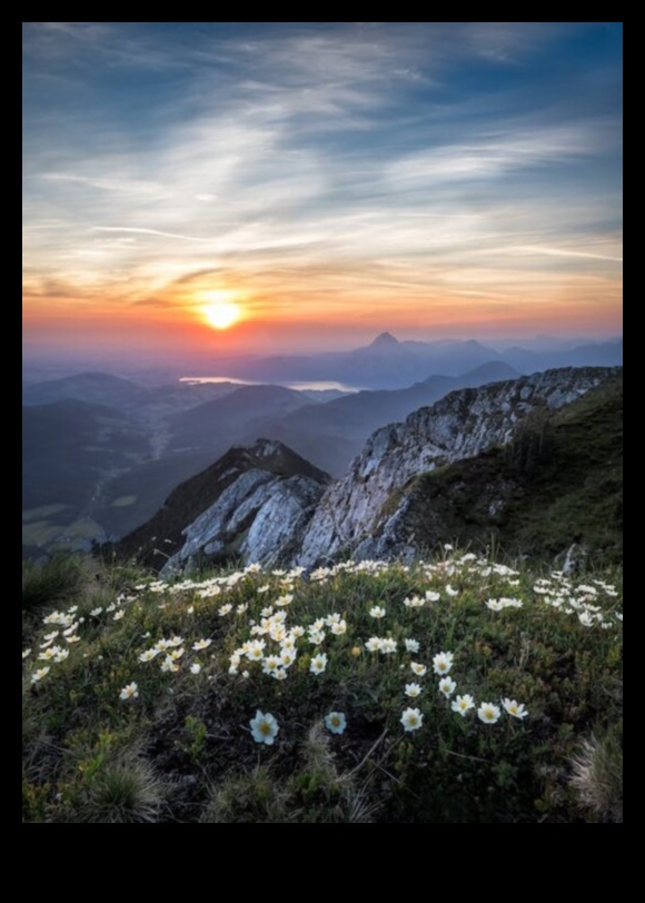 Momente de liniște revăzute: Găsirea păcii în vederi atemporale